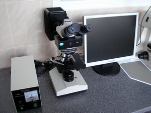 BioMed1