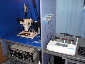 BioMed2