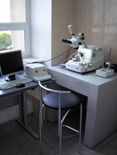 SEO-UMC