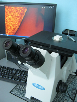 SEOImageLab-MET
