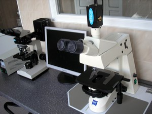 BioMed1
