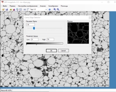 SEOImageLab-MET