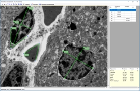 SEOImageLab-MET
