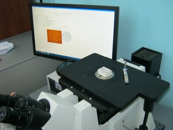 SEOImageLab-MET